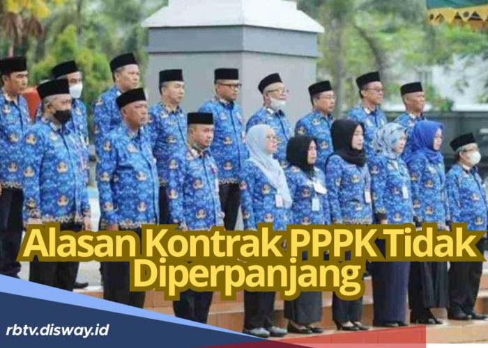 PPPK Wajib Tahu! Ternyata Ada 10 Alasan Kontrak Tidak Diperpanjang, Apa Saja?