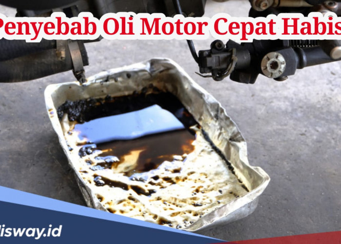 Ini Penyebab Oli Motor Cepat Habis, Jarang Diketahui!