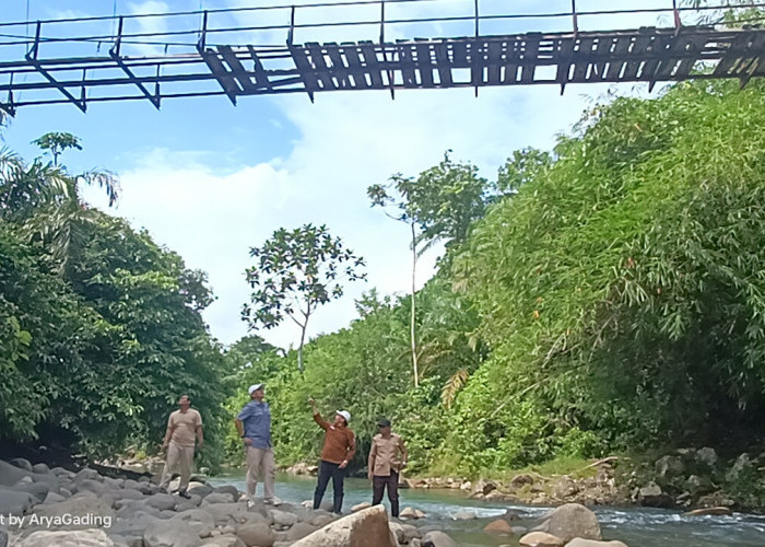 Viral Sampai ke Menteri PUPR Basuki Hadimuljono, Sekda Turun Tinjau Jembatan Simpang