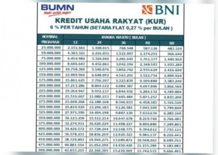 Rincian Tabel KUR BNI Terbaru Pinjaman Rp 10 Juta-Rp 500 Juta, Pilihan Untuk Modal Usaha