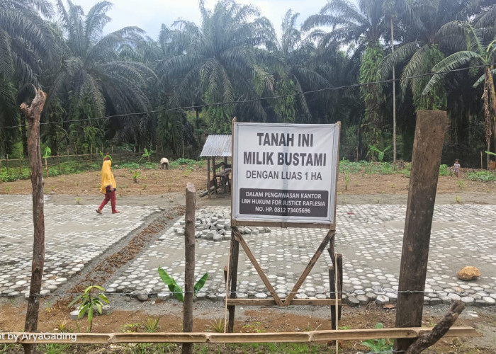 Lahan di Kelurahan Dusun Baru Berpotensi Konflik, Sudah 29 Tahun Dijual Diklaim Kembali Pemiliknya