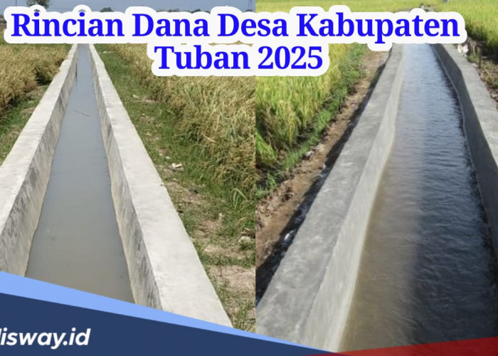 Kucuran Dana Desa di Kabupaten Tuban 2025, Tak Banyak yang Dapat Anggaran Rp 1 Miliar