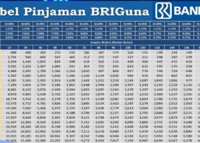 Modal Rehab Rumah atau Beli Mobil, PPPK Bisa Ajukan Pinjaman ke BRI, Pinjam Rp 75 Juta Berapa Angsurannya?