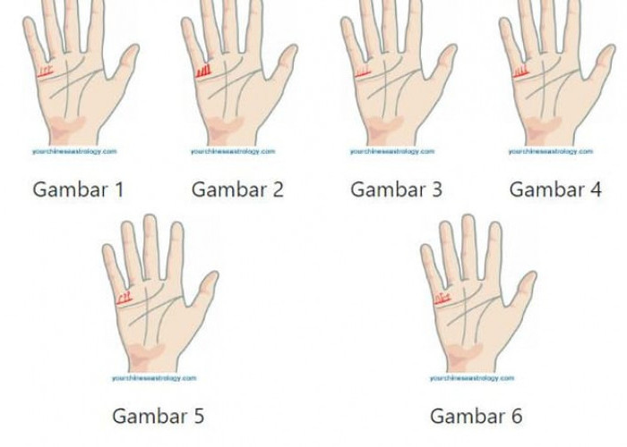 Ramalan Garis Tangan, Jika Punya Tanda Seperti Ini Bakal Jadi Orang Kaya di 2026