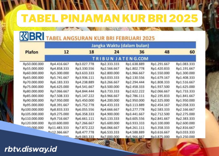 KUR 2025 di BRI, Pelaku UMKM Kriteria Ini Prioritas Mendapatkan Pinjaman