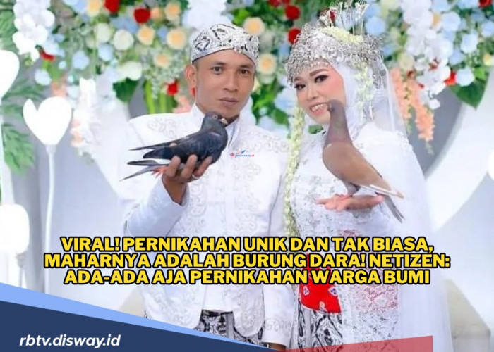 Pernikahan Unik dan Tak Biasa, Pengantin Ini Pilih Burung Dara Maharnya! 