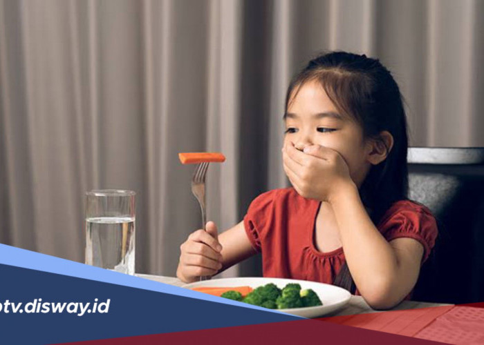 Waktu Makan Selalu Jadi Drama? Begini Cara Mengatasi Anak Susah Makan