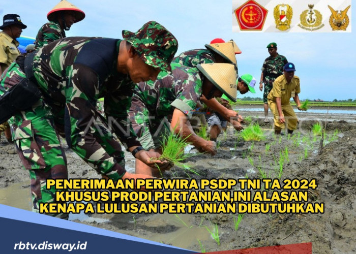 Penerimaan Perwira PSDP TNI TA 2024 Khusus Prodi Pertanian, Ini Alasan Kenapa Lulusan Pertanian Dibutuhkan