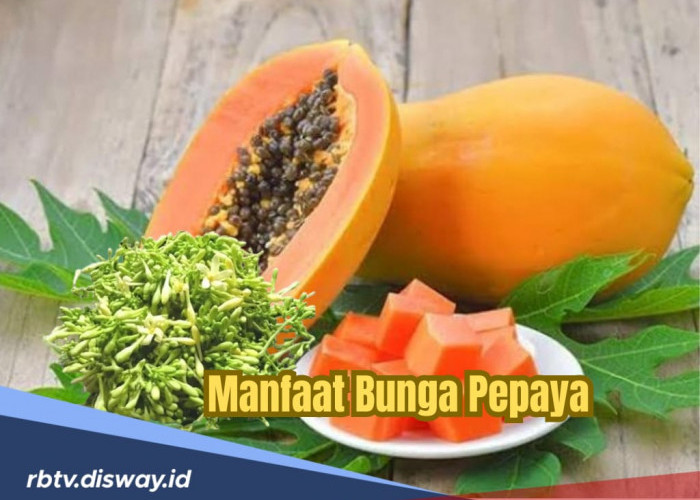 Dalam Rasa Pahitnya, Ternyata Ada 4 Manfaat Bunga Pepaya untuk Kesehatan Tubuh