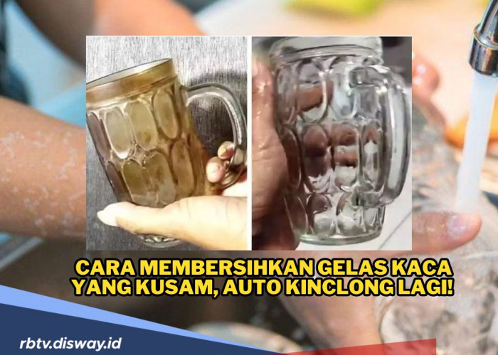 Gelas Kaca yang Disimpan Menguning dan Kusam? Ini Cara Membersihkan Gelas Kaca yang Kusam, Auto Kinclong Lagi!