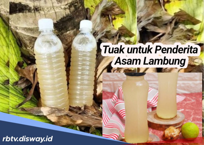 Berbahan Dasar Air Nira, Ini Sederet Manfaat Tuak untuk Penderita Asam Lambung? 