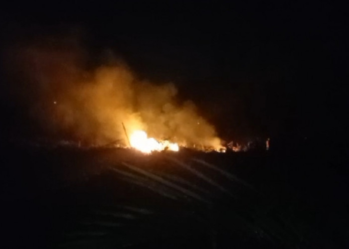 Kebakaran Lahan di Kota Bengkulu, Diduga Sengaja Dibakar Pemilik 