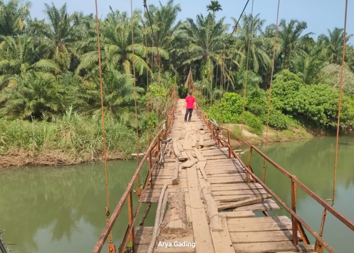 Kodim 0425/Seluma Rehab Jembatan Gantung Padang Merbau Gara-gara Ojek Sawit