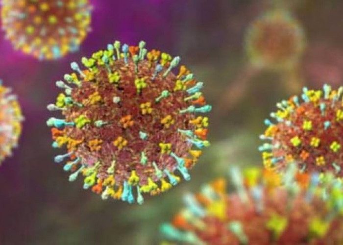 Virus Nipah Sangat Mematikan, Begini Gejalanya jika Tertular