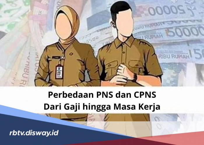 Serupa tapi Tak Sama, Ini Perbedaan PNS dan CPNS 2024, dari Gaji hingga Masa Kerja