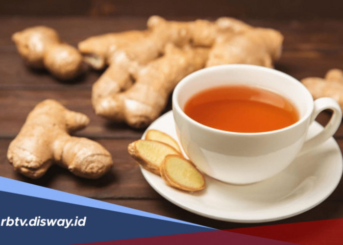 Racikan Minuman Herbal Jahe untuk Atasi Asam Lambung, Yuk Coba!
