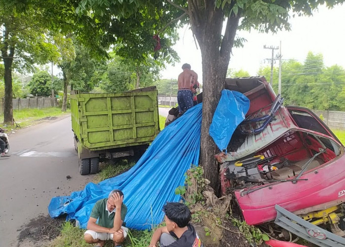 Truk Batu Bara Hantam Pohon di Sumber Jaya, Sopir Mengalami Luka Berat 