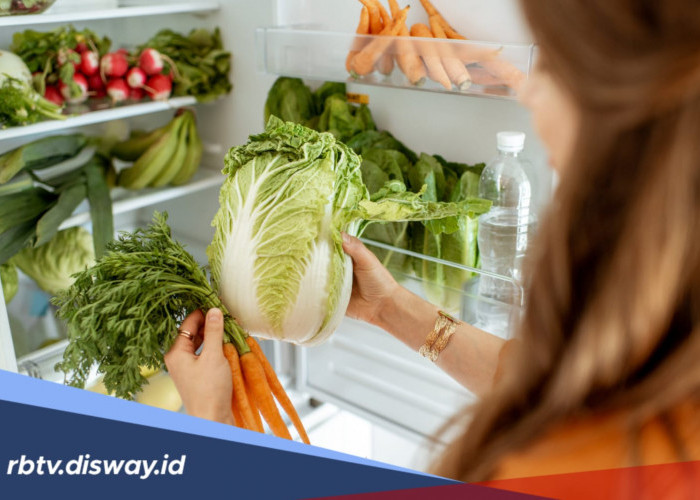 Cara Menyimpan Sayuran di Kulkas agar Awet dan Segar Lebih Lama,  Stok Aman hingga 2 Minggu
