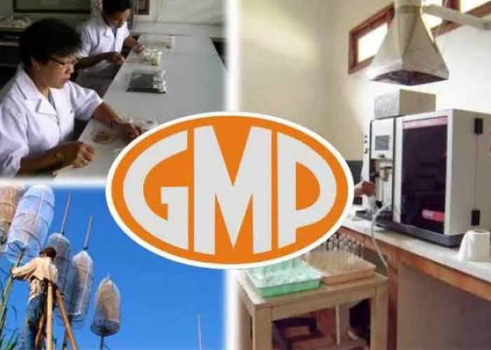 Peluang Bagus, PT GMP Buka Lowongan Kerja Januari 2024 untuk 9 Posisi, Pendaftaran via Online