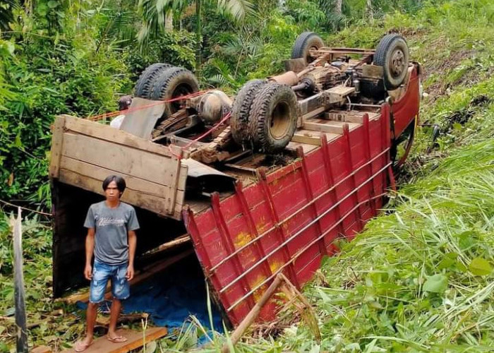 Jalan Amblas, Truk Muatan 8 Ribu Batu Bata Terguling di Seluma