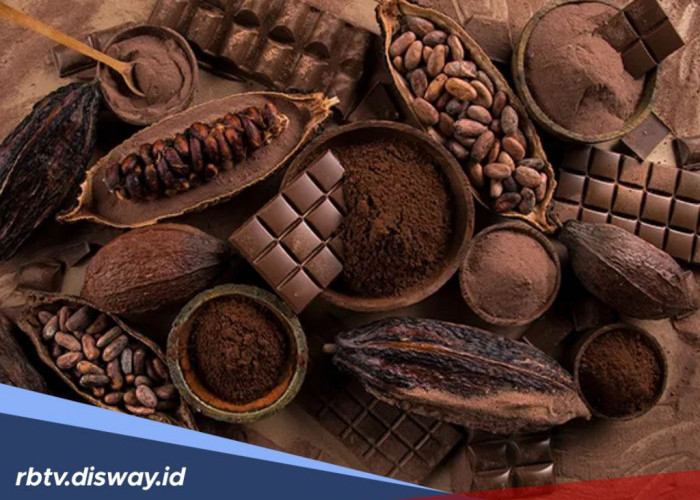 Sering Dihindari, Ternyata Berikut 8 Manfaat Coklat untuk Kesehatan