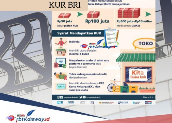 KUR BRI 2024 Update, Lengkapi 6 Syarat Berikut Pinjaman Rp 30 Juta Cair Cepat, Cicilan Rp 500 Ribuan 