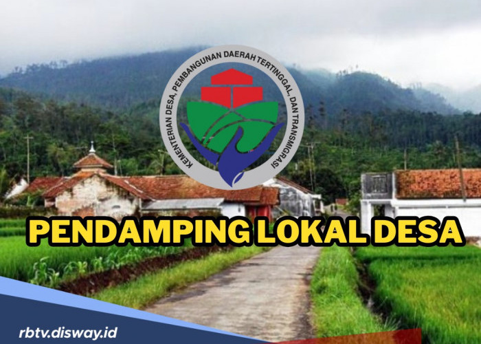 Apa Fungsi dan Tugas Pendamping Lokal Desa, Berapa Honornya?