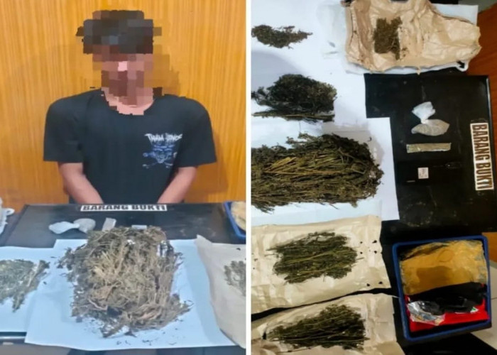 Polresta Bengkulu Tangkap 2 Pria di Pekan Sabtu, 8 Paket Ganja Diamankan