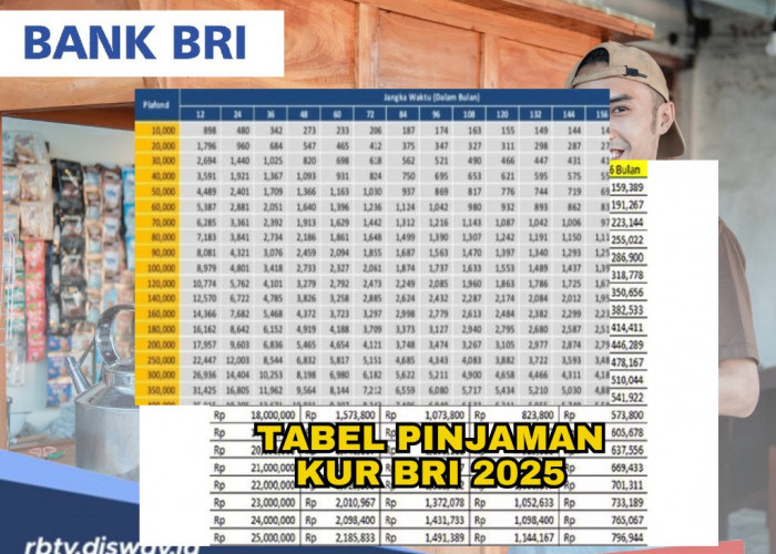 Tabel KUR BRI 2025, Pinjam Rp 175 Juta, Ini Angsuran, Syarat dan Caranya