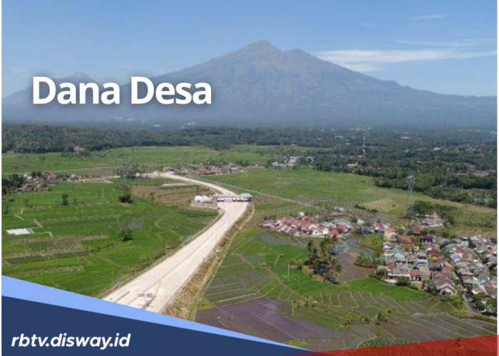 Rincian Dana Desa di Kabupaten Barito Kuala Tahun 2025, dari 195 Desa Mana yang Dapat Anggaran Terbesar?