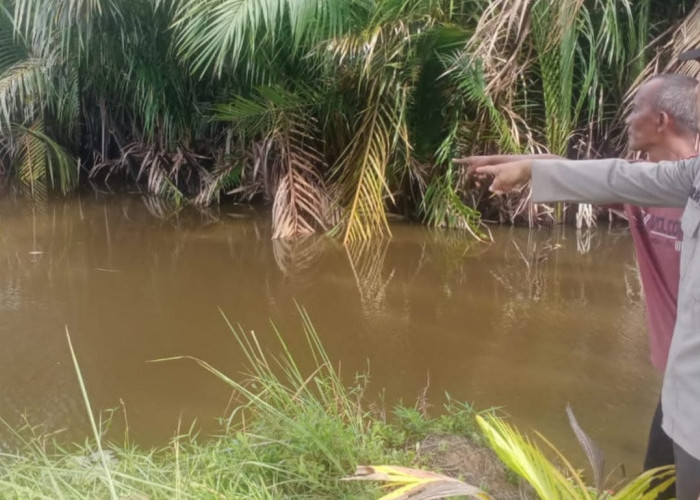 Sungai Bengkuang Seluma Memakan Korban, Siswa SD Tenggelam Akibat Perahu Oleng