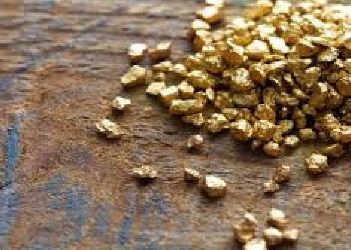 Travel Routes to Gold Sites in South Sulawesi Still Buried in the Forest