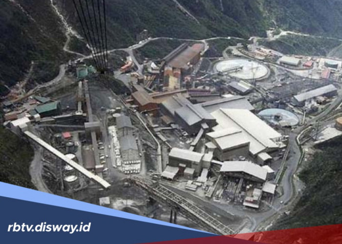 Potensi Bijih Emas yang Tersimpan di Tambang Emas Papua Tengah