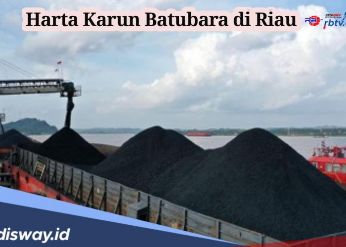 Punya Cadangan Harta Karun Melimpah, 3 Kabupaten Ini Kuasai Pertambangan Batu Bara di Riau