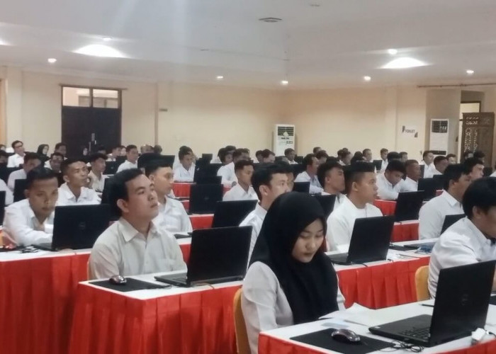 163 Honorer Dipastikan Tidak Lolos PPPK 2024 Tahap 2, Pemkot Bengkulu Siapkan Skema Terbaru
