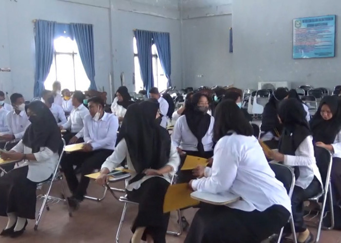 Soal Formasi PPPK di Kepahiang, Hanya Kategori Ini yang Berpotensi Direkrut Jadi PPPK Penuh Waktu