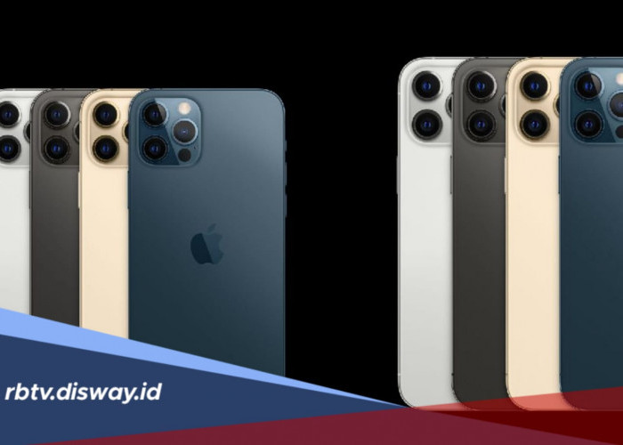 Daftar Harga iPhone 12 Bekas September 2026, Apakah Masih Worth It?