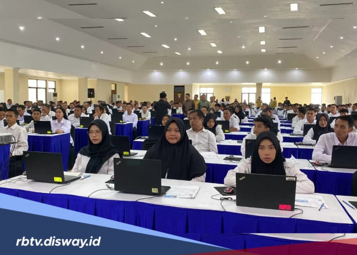 Pahami Arti 11 Kode di Pengumuman Kelulusan PPPK 2024 Tahap 2, Contoh L, L-2, PR2 dan A
