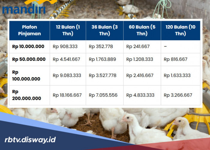 Bunga dan Biaya Provisi KSM Mandiri 2026 Palfon Rp 100 Juta