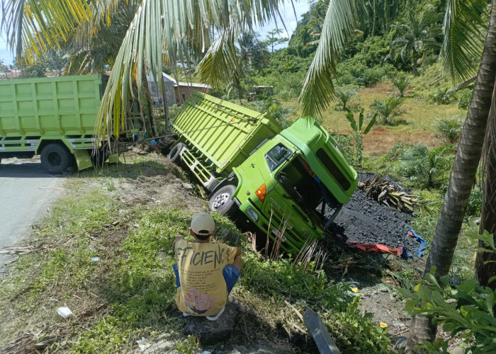 Patah As Roda Belakang, Truk Batu Bara Terperosok di Jurang Tebing Rambutan