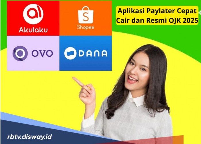 Resmi OJK, Ini 6 Daftar Aplikasi Paylater Cepat Cair di Tahun 2025, Jangan Salah Pilih