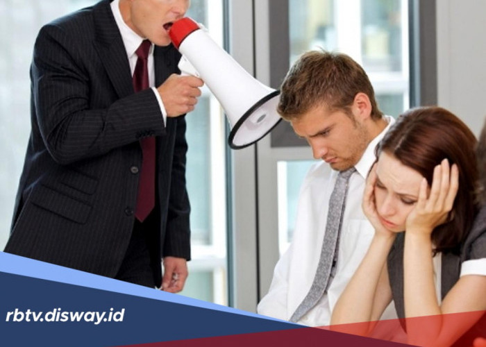 Tertarik Jadi DC Lapangan Shopee? Ini Skill dan Kemampuan yang Harus Dikuasai