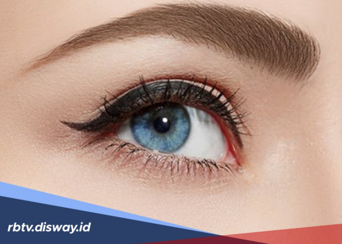 8 Makanan Alami yang Bisa Menjaga Mata Tetap Sehat dan Segar