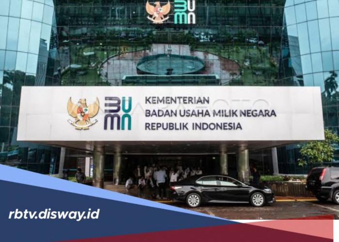 Intip Besaran Gaji Menteri BUMN, Benarkah di Bawah Rp 20 Juta? 