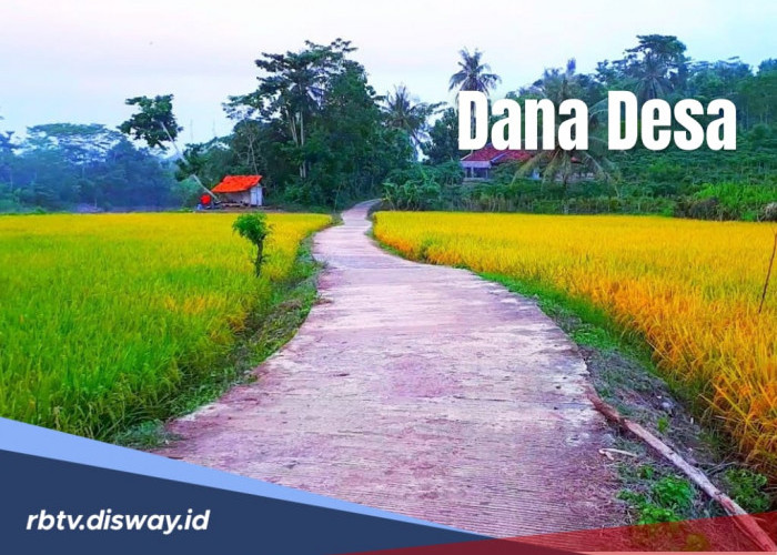 Dana Desa Kota Padang Sidempuan Tahun 2025, Ada 1 Desa yang Dapat Anggaran Rp 1 Miliar