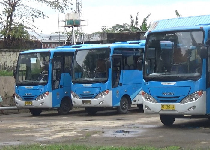 Bus Trans Rafflesia Mangkrak, Sudah Dua Tahun Dana Operasional Tak Dianggarkan