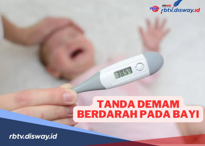 Waspadai! Ini 9 Tanda Demam Berdarah Pada Bayi, Begini Cara Tepat Menanganinya