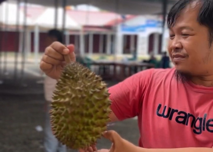 Lomba Durian di Rejang Lebong, Disiapkan 1.000 Buah untuk Dimakan Bersama Masyarakat 