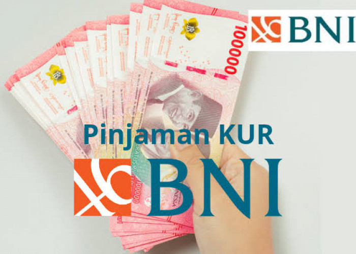 Cara Cepat Ajukan KUR BNI April 2025 Plafon Rp 50 Juta, Berikut Simulasi Cicilannya