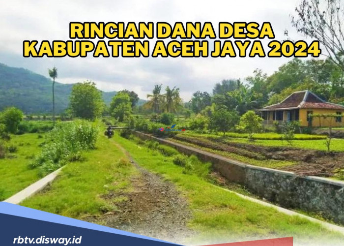 Berikut Rincian Dana Desa Kabupaten Aceh Jaya 2024, Desa Sabet Dapat Alokasi DD Terbesar, Segini Totalnya